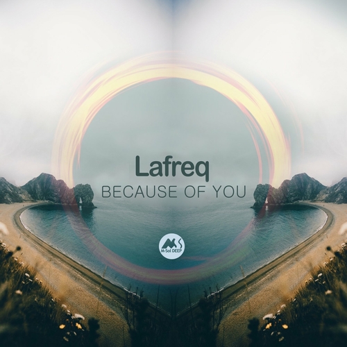 LAFREQ - Because of You [MSD102]